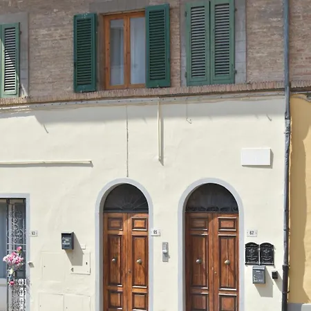 Olivo San Miniato
